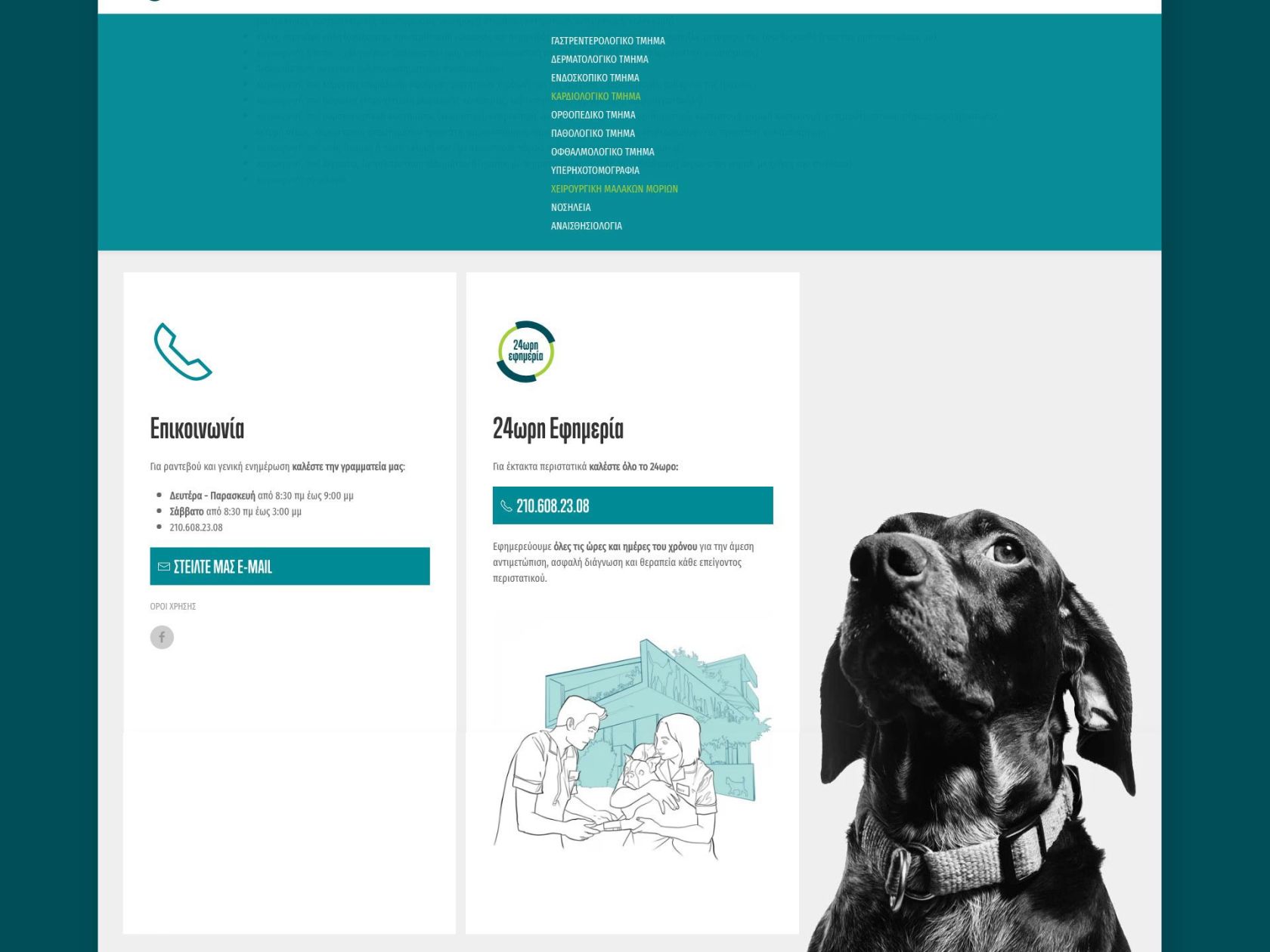plakentia-veterinary-clinic-web-01